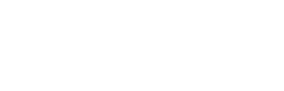 Logo lena
