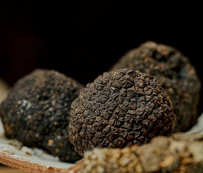 WhatsApp Image 2026 02 18 at 15.12.13